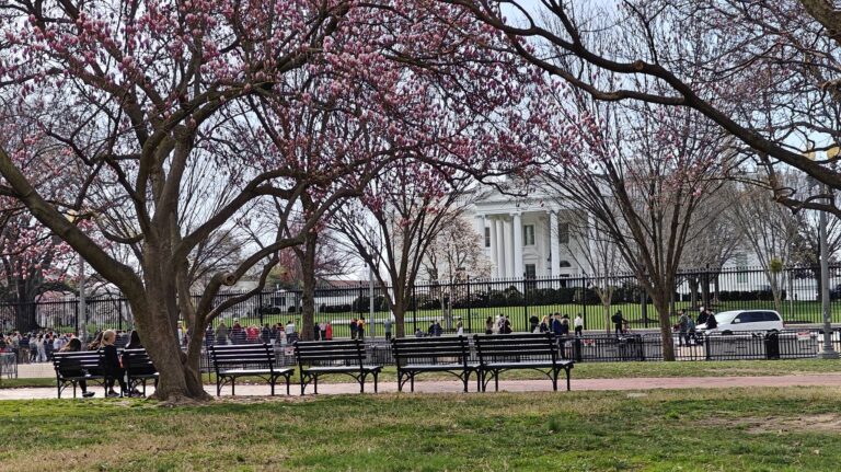 Ausflug Washington Weißes Haus